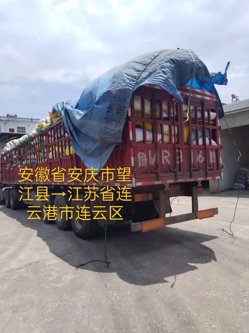 四海配载 货通天下，盐城大丰货物配载与运输的专业之选